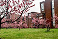 江西师范大学