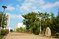 山东农业大学