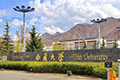 西藏大学